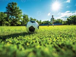 下载旧版雷速体育应用界面展示